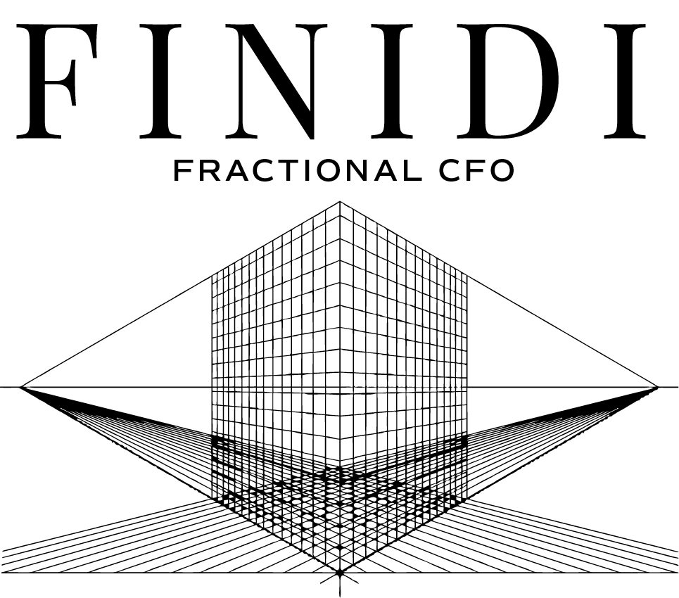 FINIDI Fractional CFO